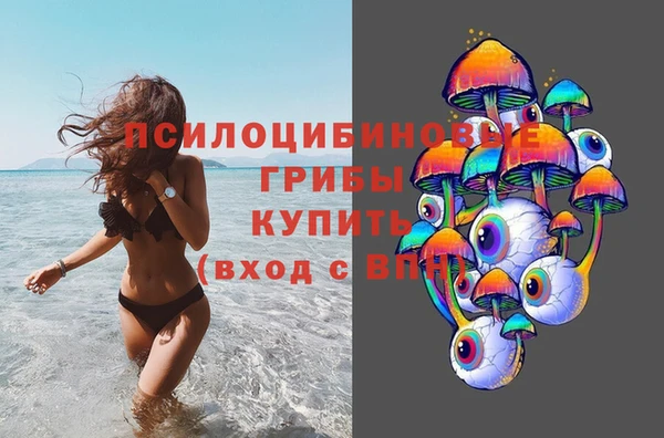 дмт Вязьма