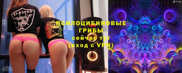 круглые Вяземский