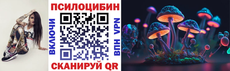 Псилоцибиновые грибы мицелий  Купить  Кашира 